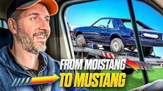 From MOISTANG to MUSTANG (combien ça coûte une transformation comme ça )