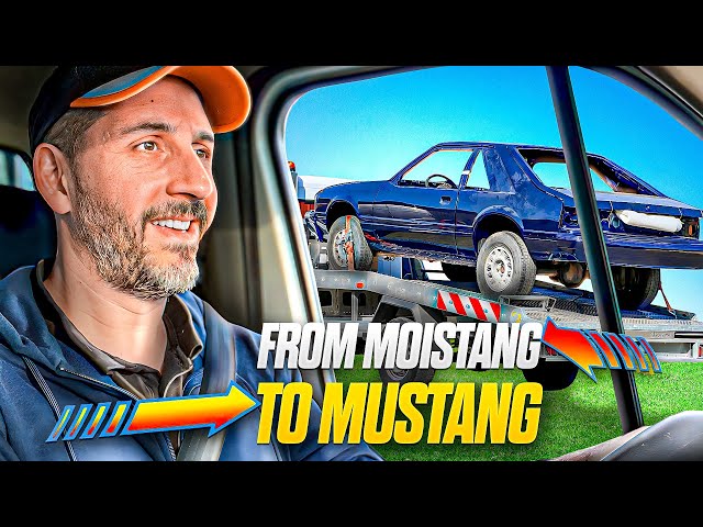 From MOISTANG to MUSTANG (combien ça coûte une transformation comme ça ?) class=