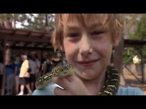 Australian Reptile Park - YouTube