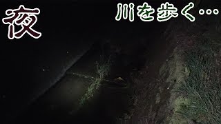 夜の川に行くとアレが歩いていると聞いて…