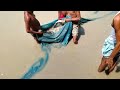 Rohu, Catala , Nain, Grass Carp