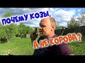 ПОЧЕМУ КОЗЫ, А НЕ КОРОВА? / ПРО КОЗЬЕ МОЛОКО / Ответ на комментарии