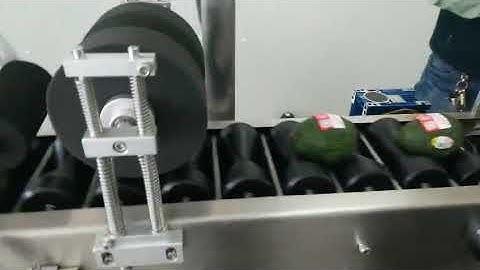 avocado fruit labeling machine-Judy