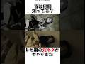 チェンソーマン レゼ編のオマージュ元の映画がヤバすぎた #chainsawman #チェンソーマン #漫画 #shorts