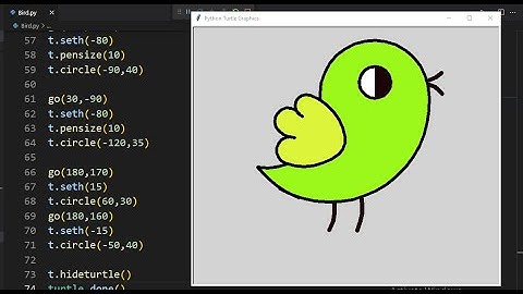 Draw Bird 🐦|Full Python Code || Python Turtle