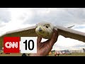 Robotic Birds and Their Impact