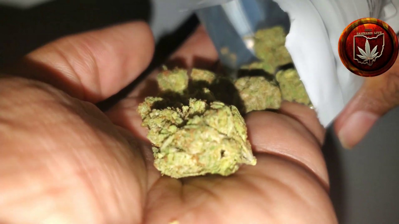 Mastamynd Kush by Standard Wellness Ohio