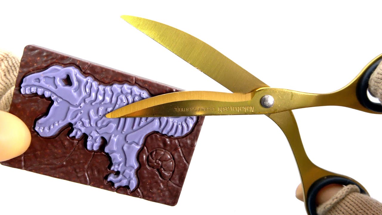 Excavated dinosaur fossil Chocolate Darkness Ver. 