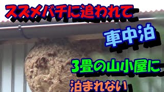 スズメバチに追われて車中泊。３畳の山小屋に泊まれない。