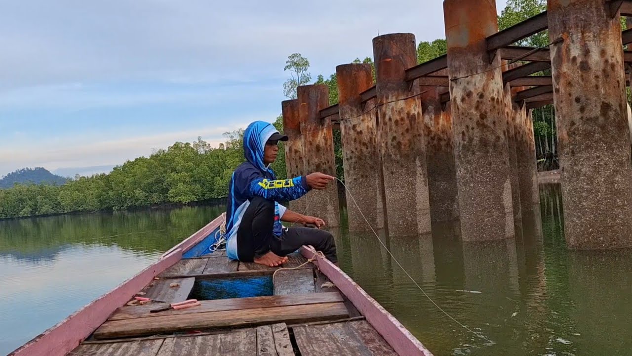 LUAR BIASA PANEN BARRAMUNDI HARI INI PAKE UMPAN UDANG HIDUP