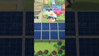 Tom nook is not going to like this. #animalcrossing #nintendo #solar