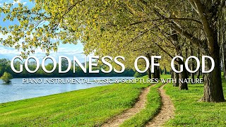 Goodness Of God: Instrumental Worship, Prayer Music with Nature SceneDivine Melodies