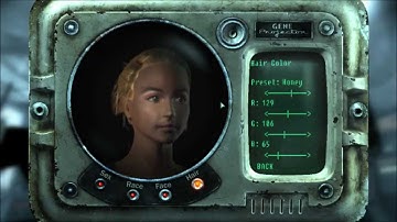 Fallout 3 Perfect Character guide