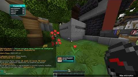 Reallyworld | Забанили на всех аккаунтах с Celestial Beta 1.16.5 |