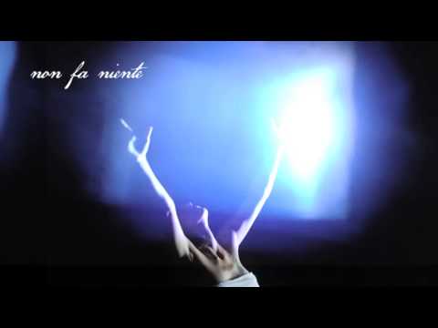 Elisa - "Non fa niente ormai" (Lyric Video) - dall'album "L'ANIMA VOLA" in vendita dal 15.10.13