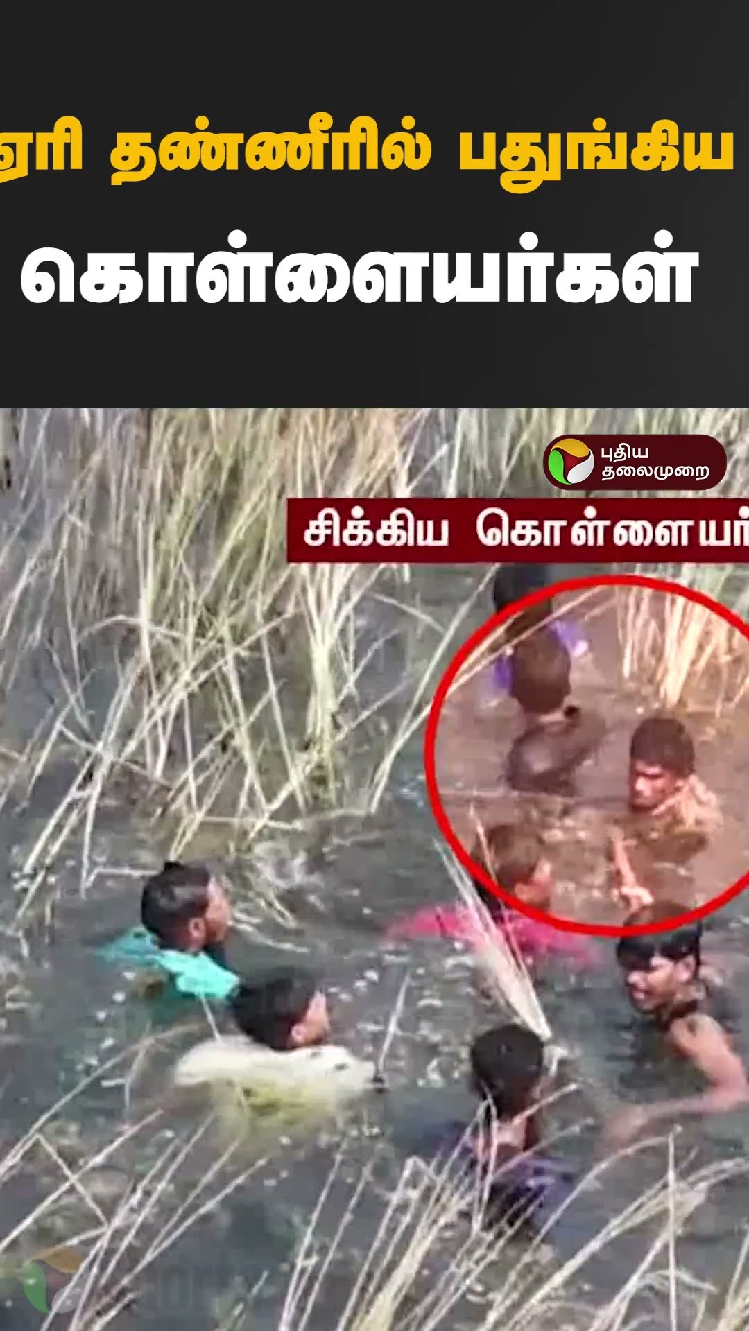 ஏரி தண்ணீரில் பதுங்கிய கொள்ளையர்கள்  #shorts #Maduranthakam