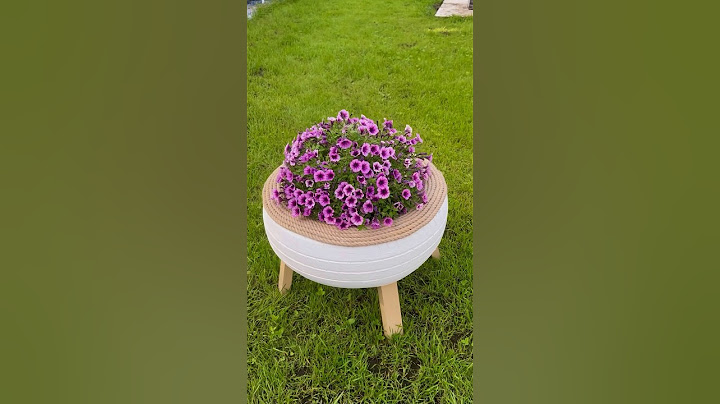 Клумба из шины! #дачныйсезон #дача #сад #огород #garden #стройка #цветы #gardening