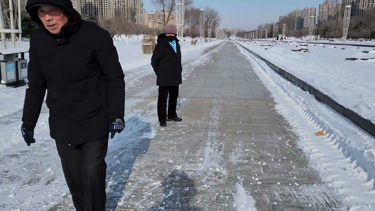 A Walk After the Snow｜Shenyang Central Park雪后的一次漫步｜沈阳中央公园