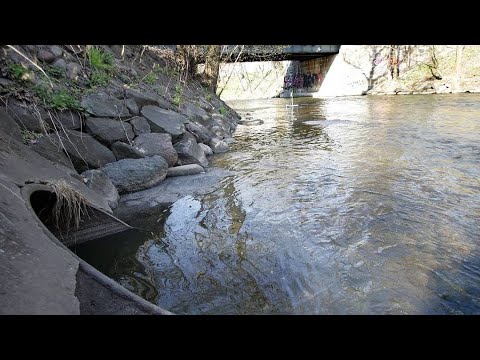 Video: Kas sukelia vandens telkinių eutrofikaciją?