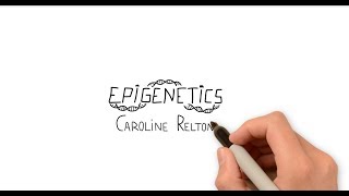 A three minute primer on epigenetics