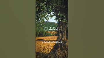 والتين والزيتون || سورة التين