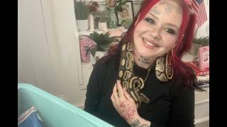Meet Marvin! He Is A Ball Python & A Perfect Gentleman!