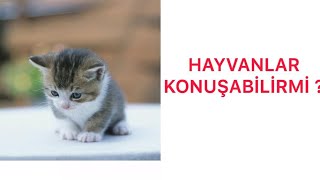 Hayvanlar Konuşabi̇li̇rmi̇ ? Abdullah Ormancı