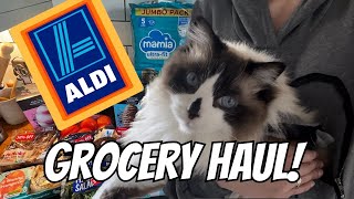 Aldi Haul and Pet Shenanigans by Mum Things 2,982 views 1 month ago 8 minutes, 24 seconds