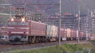 8096レ EF81-26牽引(2010-12-12)