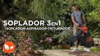 Soplador-Aspirador-Triturador 36V | BLACK+DECKER™ - YouTube