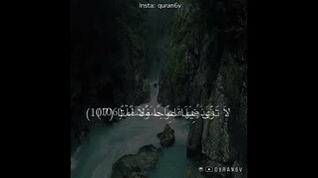 القارئ/رعد الكردي تلاوة خاشعة🍃