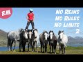 Emma Massingale - No Reins - No Rules - No Limits - Part Two