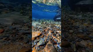 Beautiful View Under The Water #Amazingview #Smartphotography