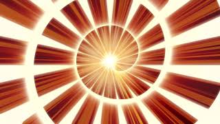 orange circle line background loop animation - Download Stock Footage screenshot 5