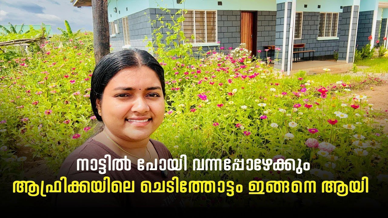 രണ്ടുമാസം കൊണ്ട് ചെടി തോട്ടത്തിന്റെ അവസ്ഥ #dailyvlog #gardening