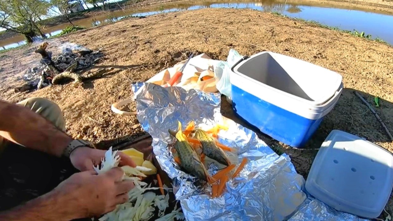 Pesca y cocina a las orillas del río. pesca urbana