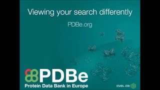 Celebrity PDBe mini tutorial: How to view your PDBe search differently Wealth