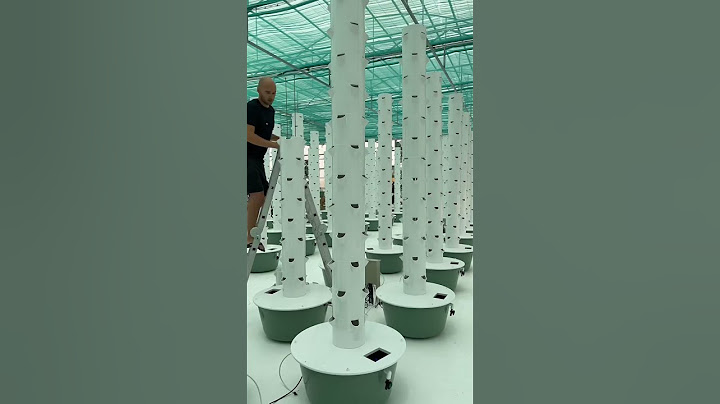 ☝🏼 1 month growth in an aeroponic Tower Farm in Kuwait #verticalfarming #kuwait #middleeast