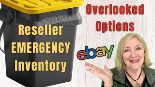 V.33 How hungry are you for reselling INVENTORY? Overlooking options? ebay ReSeller