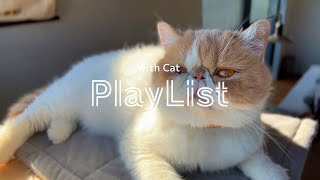【Playlist】猫と準備する朝に聞く洋楽プレイリスト / with Cat