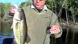 big bass on spook.AVI