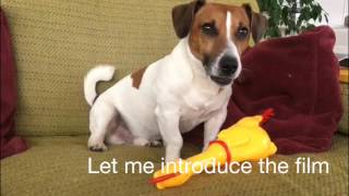 My Lovely Chicken The Hot Film Directed By Jos Jrt