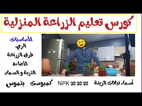 فيديو: البستنة الحضرية: الدليل النهائي لبستنة المدينة - البستنة تعرف كيف