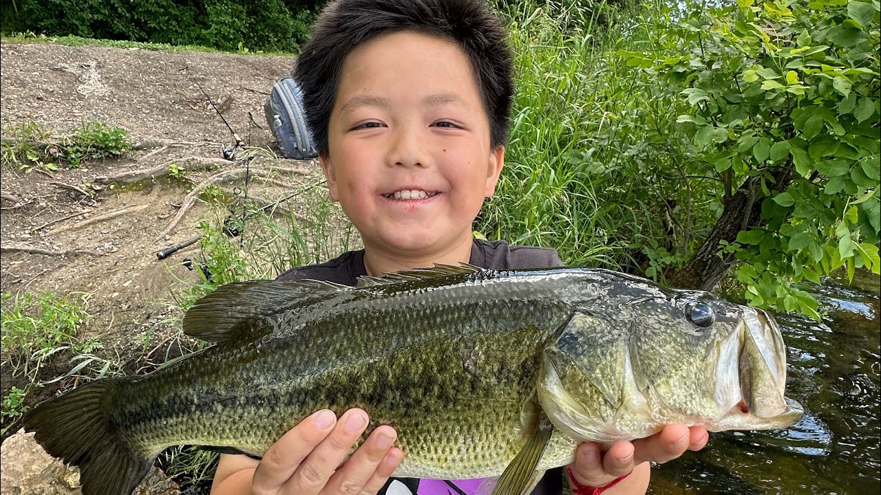 8 Year Old Catch s A 5 POUNDER LARGE MOUTH BASS YouTube 8-year-old-catch-s-a-5-pounder-large-mouth-bass-youtube