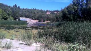 Dynamic Mass Balance of a Lake