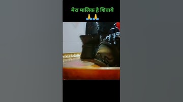 मैं दास उसी का हूं मेरा मालिक है शिवाय ! Mahadev !  Status Bholenath Status #shortfeed​ #shivstatus​