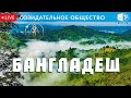 Живописный Бангладеш. Созидательное Общество. Allatraunites