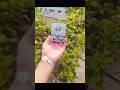 world's smallest play button silver😱#diy #bestoutofwaste #youtube #craft #viral #status #playbutton