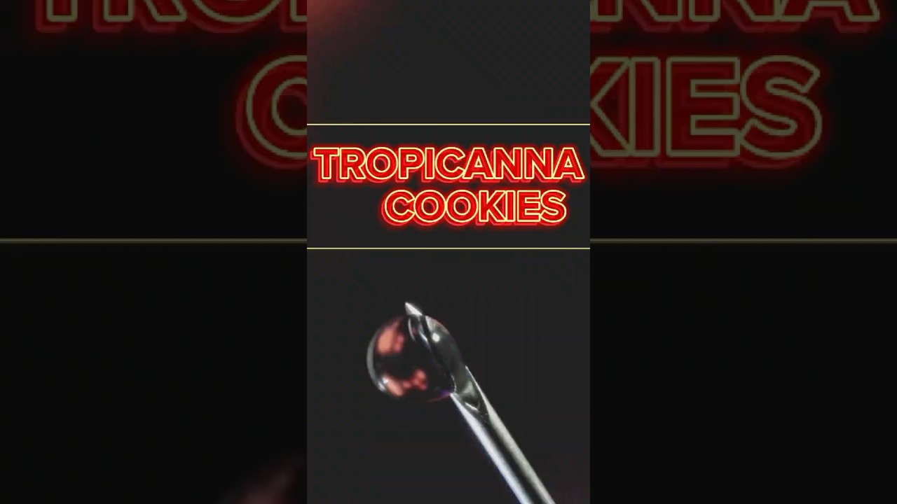 Tropicanna Cookies Sativa Concentrate Review - Cloud x Green Dragon Dispensary
