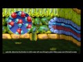 Plant Transport Mechanisms: Unraveling Water Movement and Leaf Structure